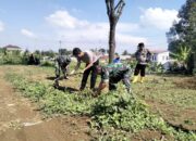 Polsek Sagalaherang Bersama Kelompok Tani “Tenggeragung” Melaksanakan Penanaman Jagung Dukung Asta Cita Pemerintahan Presiden RI