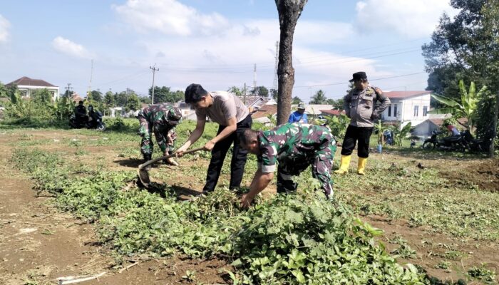 Polsek Sagalaherang Bersama Kelompok Tani “Tenggeragung” Melaksanakan Penanaman Jagung Dukung Asta Cita Pemerintahan Presiden RI