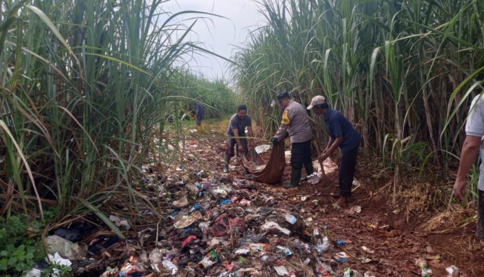 Bhabinkamtibmas Desa Rancamahi dan Warga Gelar Aksi Bersih-Bersih Pinggir Jalan di Perkebunan Tebu