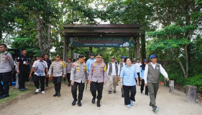 Kapolri-Titiek Soeharto Tinjau Tesso Nilo, Pastikan Konservasi Gajah Aman