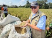 Subang Anti-Lapar! Stok Beras Aman Sampai 2026, Kemasan 2 Kg Segera Hadir di Pasar