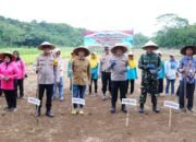 Sinergi Tiga Pilar Pembiayaan, Polda Jabar Dongkrak Ketahanan Pangan Nasional Melalui Program Penanaman Jagung