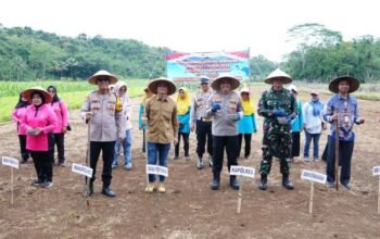Sinergi Tiga Pilar Pembiayaan, Polda Jabar Dongkrak Ketahanan Pangan Nasional Melalui Program Penanaman Jagung