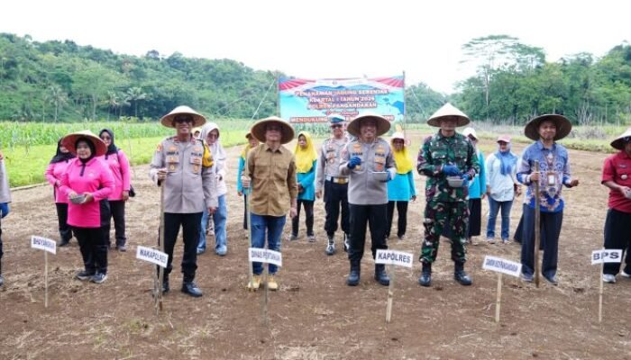 Sinergi Tiga Pilar Pembiayaan, Polda Jabar Dongkrak Ketahanan Pangan Nasional Melalui Program Penanaman Jagung