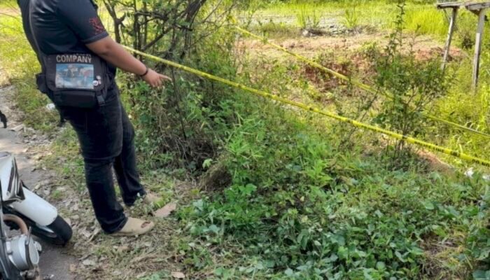 Diduga Dibuang Usai Lahir, Bayi Perempuan Ditemukan di Semak-semak