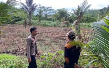 Wujudkan Asta Cita Presiden, Polsek Awayan Dampingi Petani Jagung di Balangan