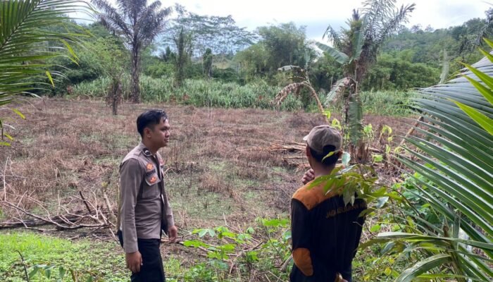 Wujudkan Asta Cita Presiden, Polsek Awayan Dampingi Petani Jagung di Balangan