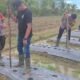 Polsek Batumandi Perkuat Ketahanan Pangan Melalui Pendampingan Petani Jagung