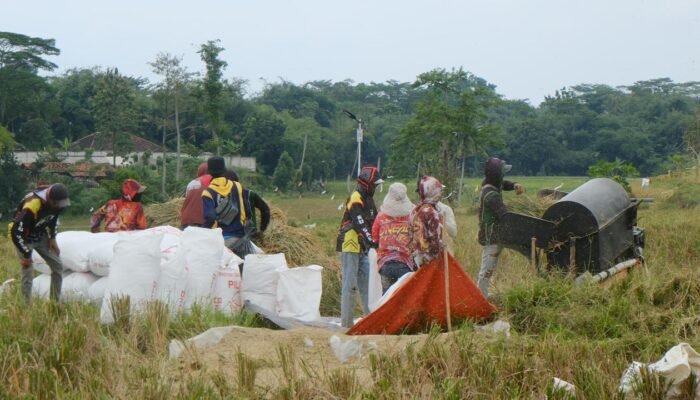 Stok Beras Melimpah, Bulog Subang Minta Warga Tak Panik Soal Pangan
