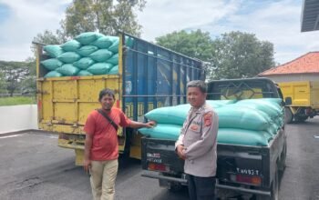 Personel Polsek Jajaran Polres Subang Panen Jagung dan Antar Hasil Panen ke Gudang Pangan Polda Jabar
