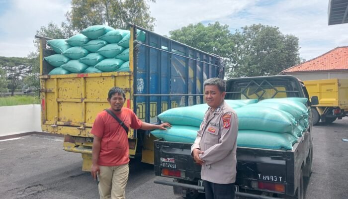 Personel Polsek Jajaran Polres Subang Panen Jagung dan Antar Hasil Panen ke Gudang Pangan Polda Jabar