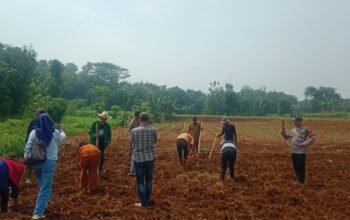 Kapolsek Purwadadi Bersama Perangkat Kecamatan Tebar Benih Ikan, Perkuat Ketahanan Pangan di Wilayah Hukum Purwadadi