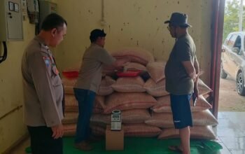 Personel Polsek Jajaran Polres Subang Tinjau Stok Jagung di Gudang Polri dan Warga Binaan, Perkuat Ketahanan Pangan Nasional