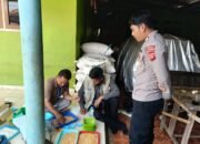 Anggota Satresnarkoba Polres Subang Tinjau Langsung Kebun Jagung, Dukung Swasembada dan Ketahanan Pangan Nasional