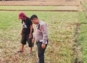 Polsek Kalijati Bersama Warga Desa Binaan Gelar Tebar Benih untuk Dukung Ketahanan Pangan