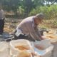 POLRES SUBANG PANEN JAGUNG WUJUD DUKUNGAN KETAHANAN PANGAN NASIONAL