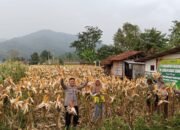 Kapolres Subang Berikan Arahan Penguatan Ketahanan Pangan Polri di Wilkum Polsek Jajaran